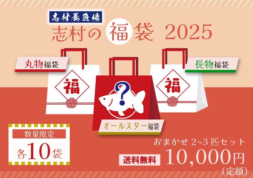 志村の福袋2025