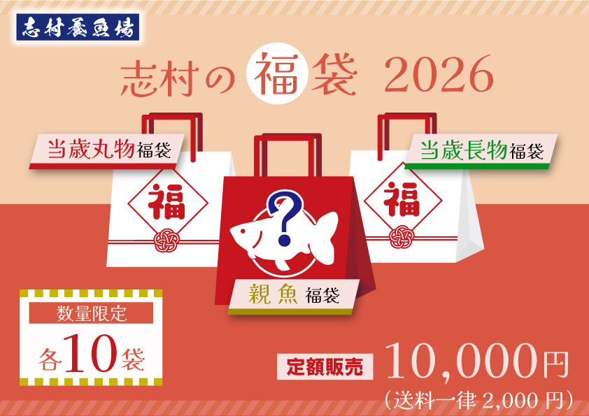 志村の福袋2026