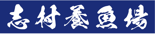 ロゴ画像